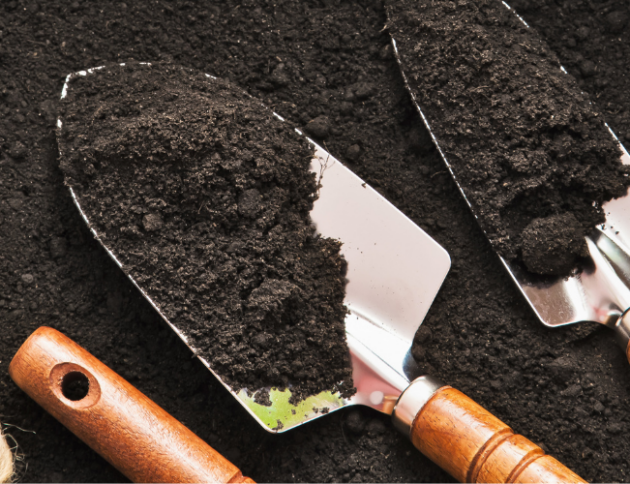 jardinería eiviss garden