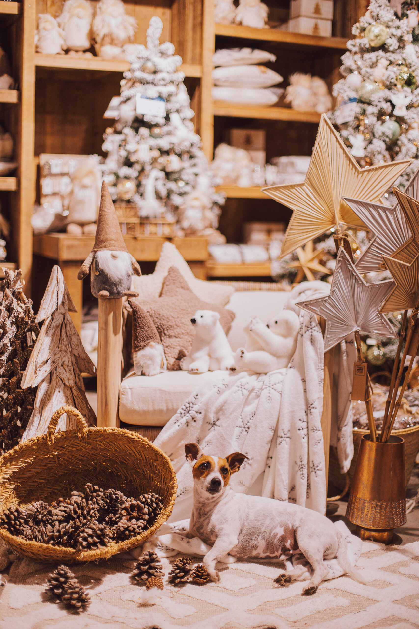 Eiviss Garden Decoración Navidad