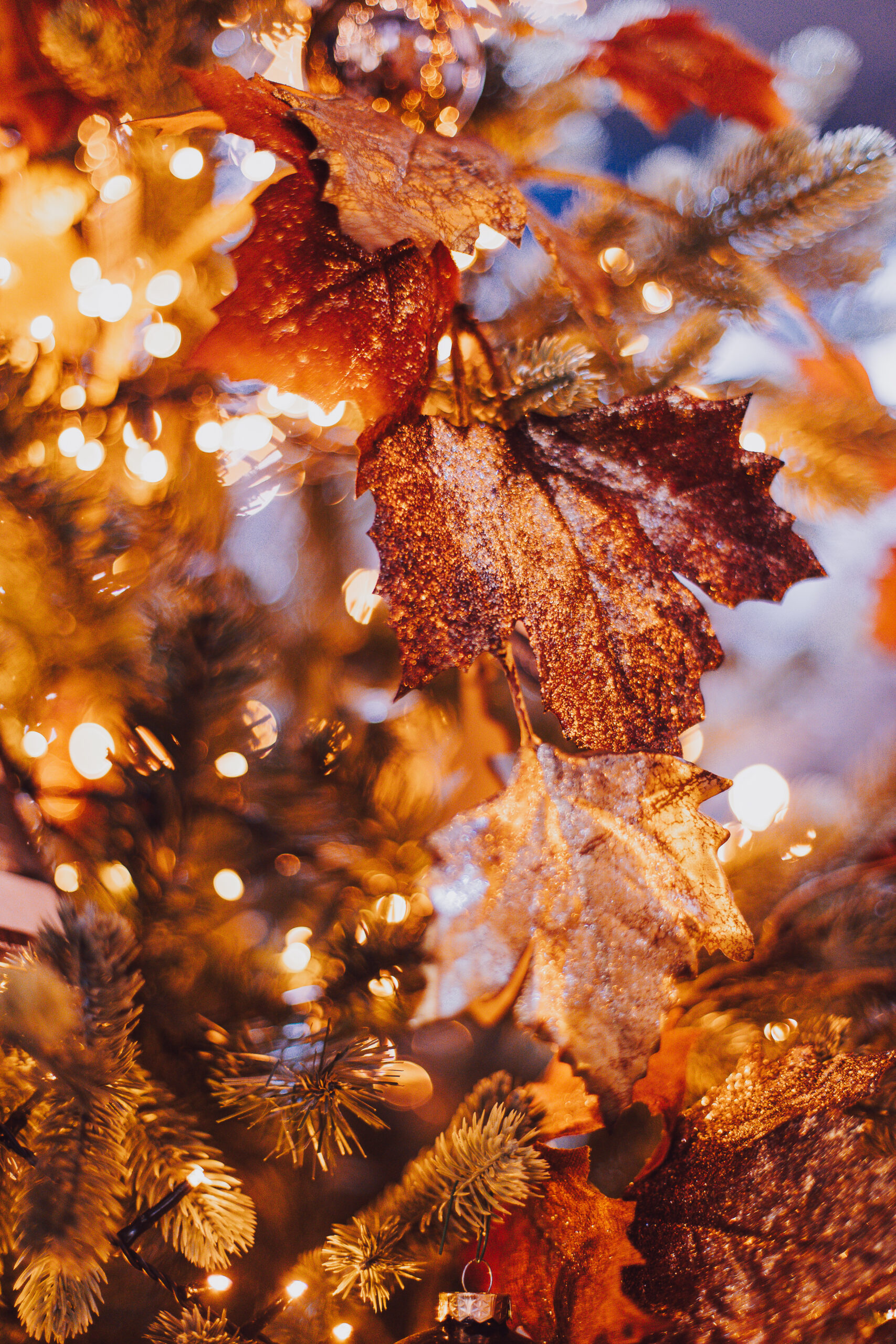 Tendencia Navidad Eiviss Garden