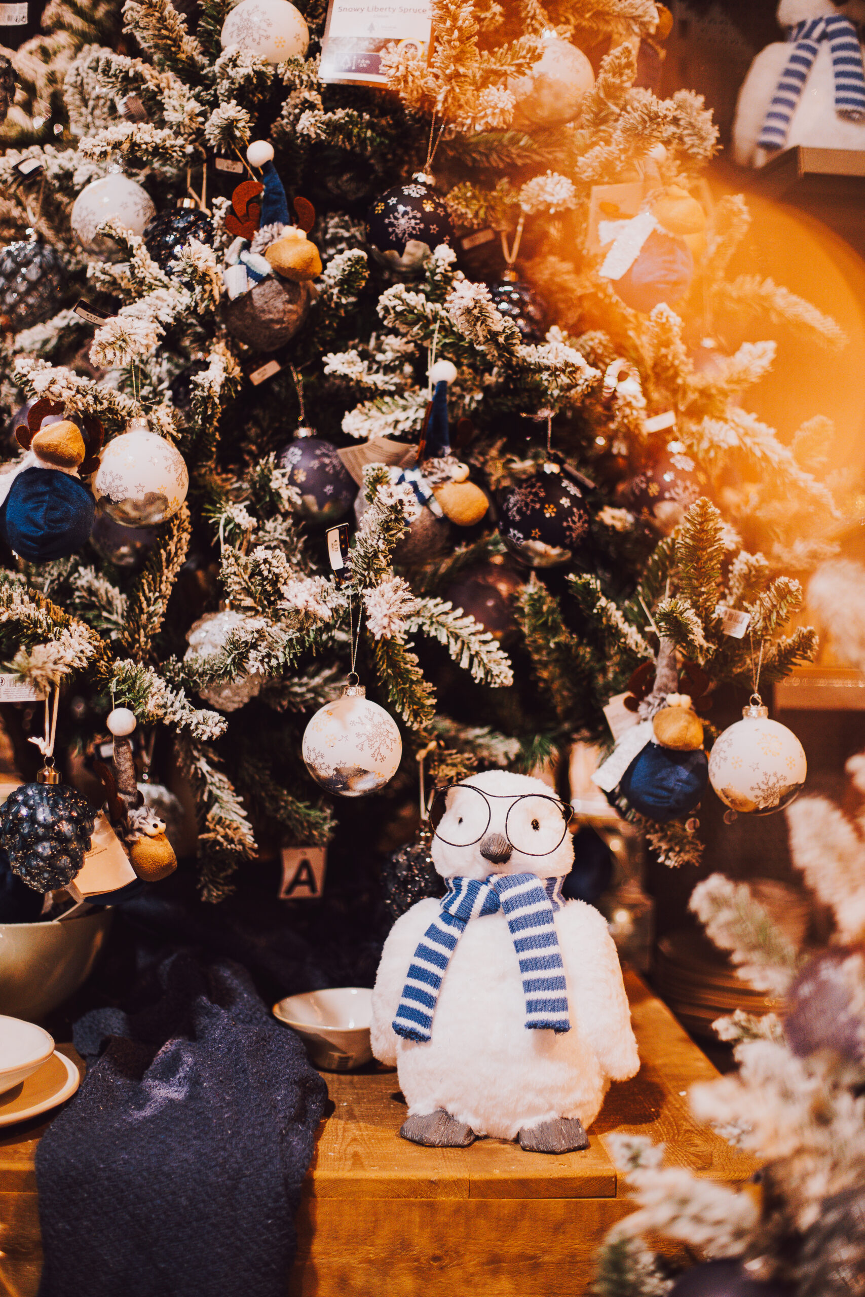 Winter Nature Eiviss Garden