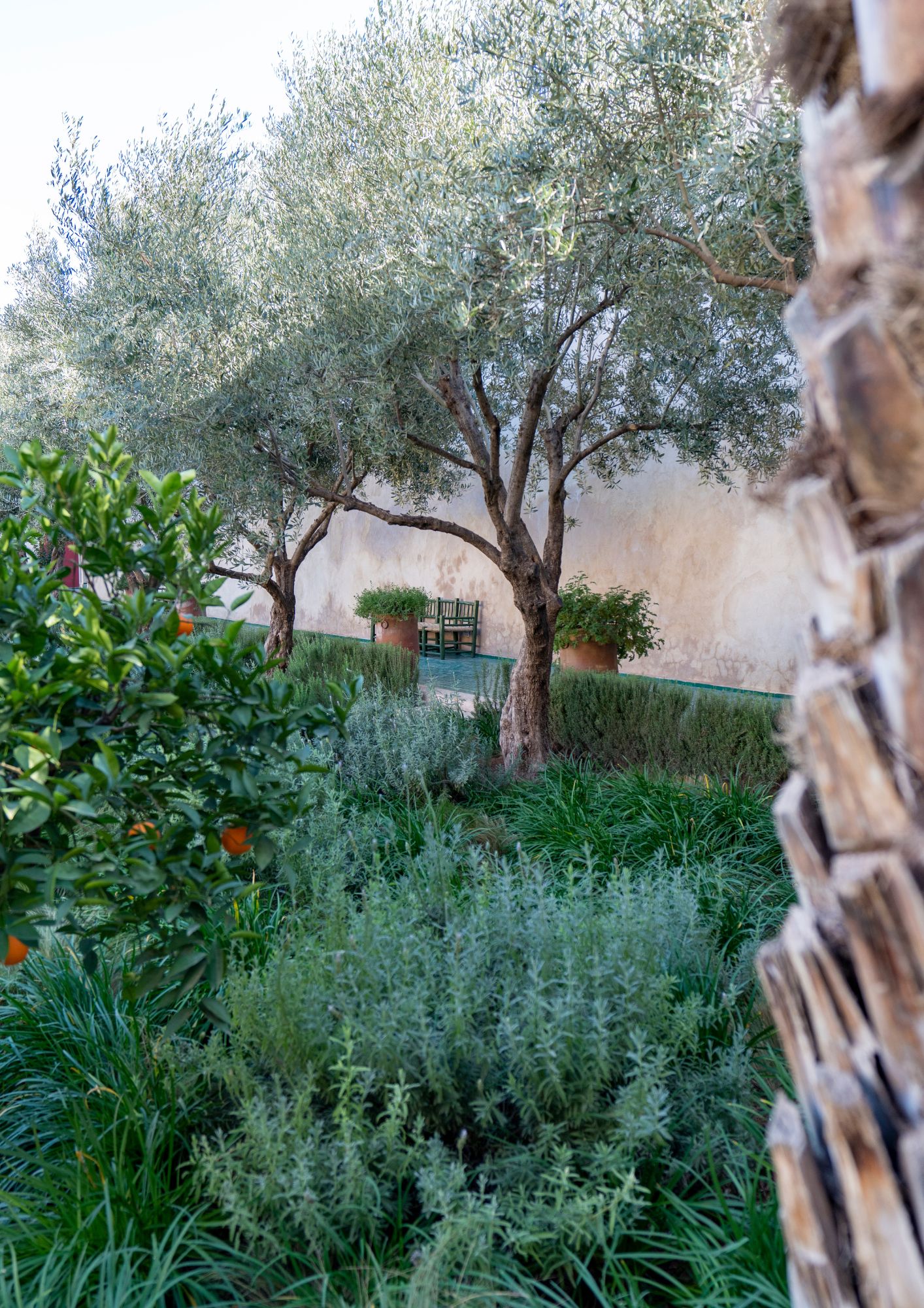 Tendencias de Jardinería de 2024