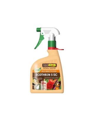 Cómo empezar tu huerto urbano esta temporada