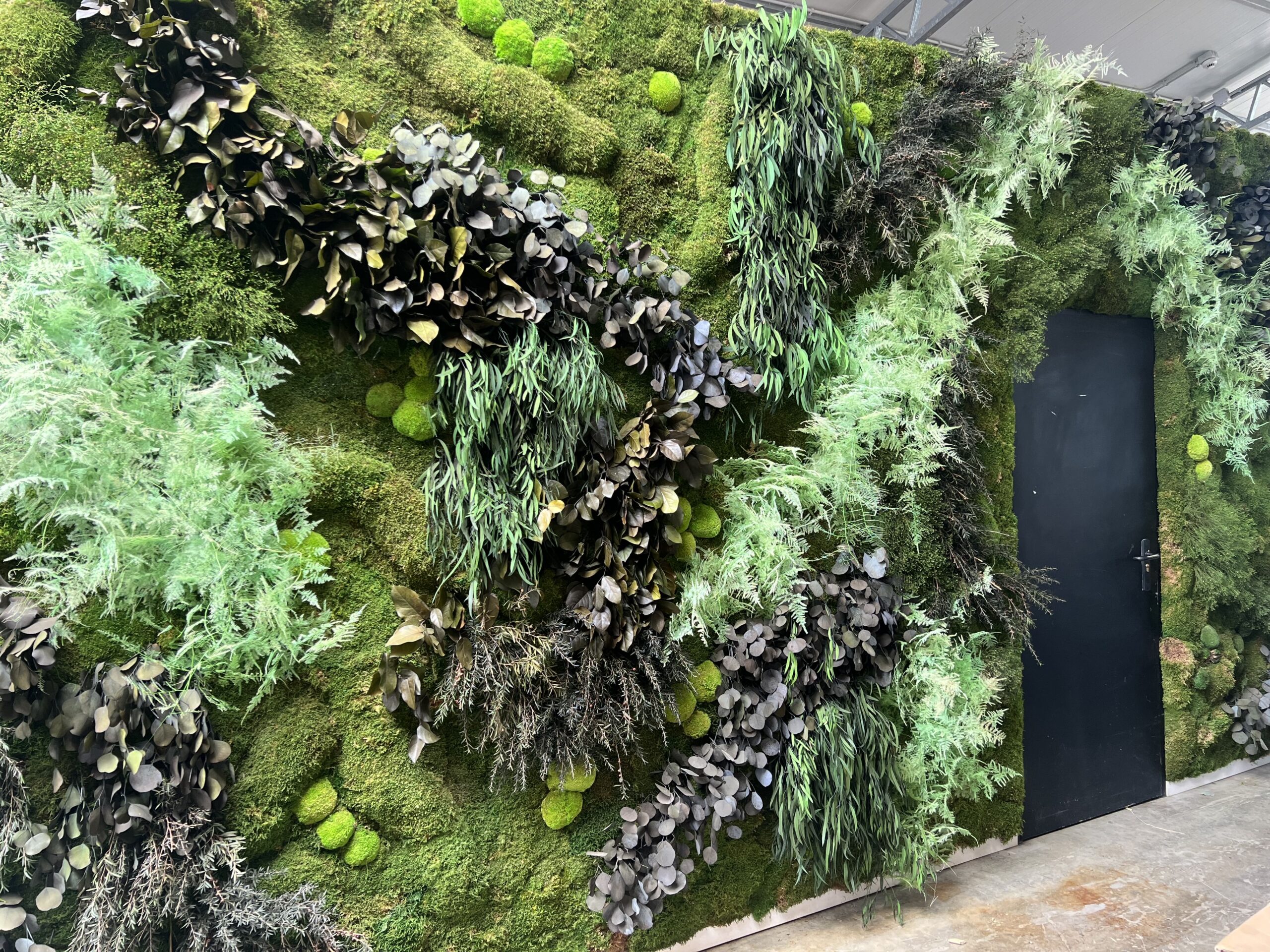 Jardín vertical preservado en Eiviss Garden