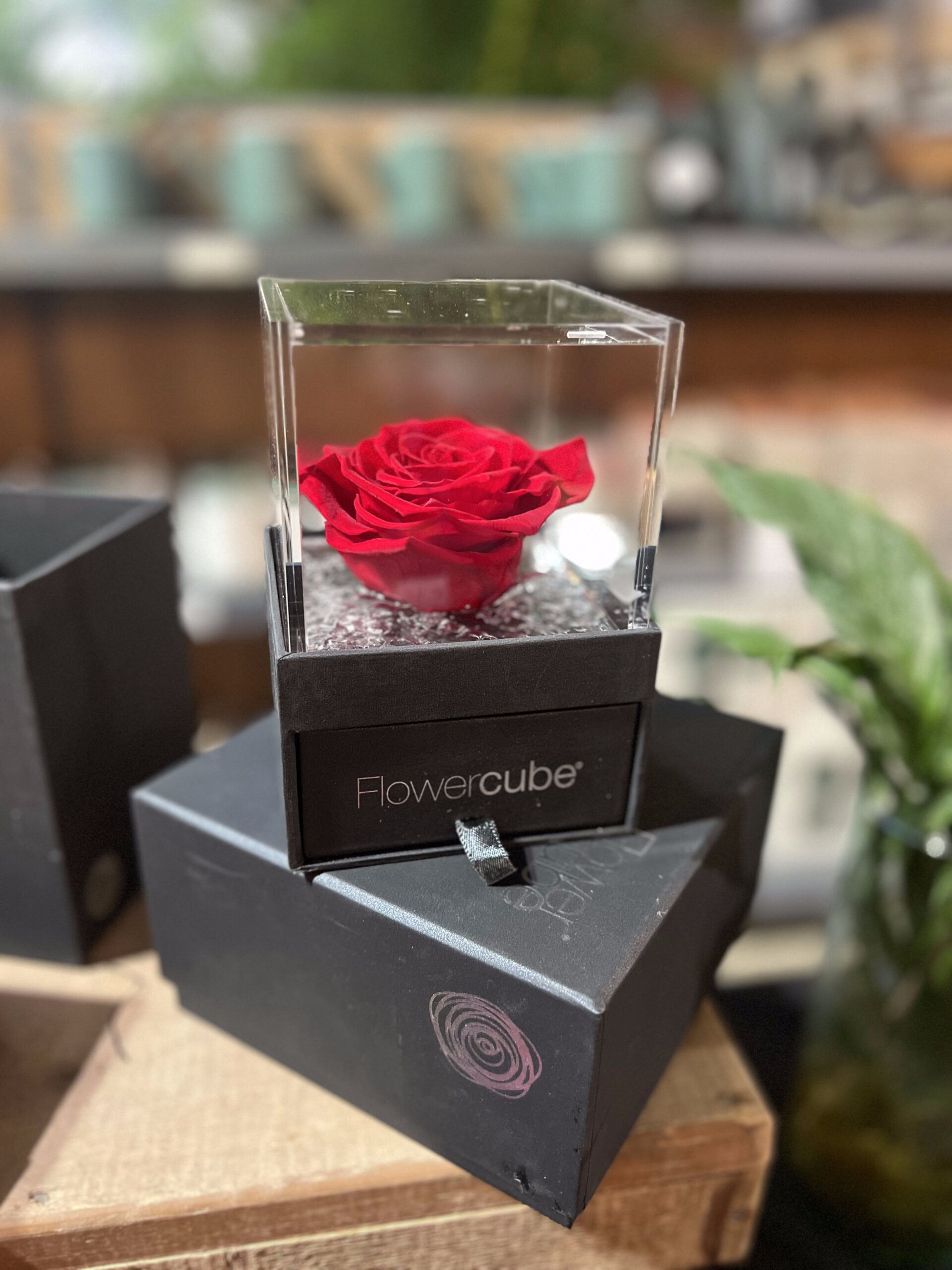 ideas de ultima hora para san valentin